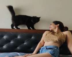 Her cat often appears in her Instagram posts. 